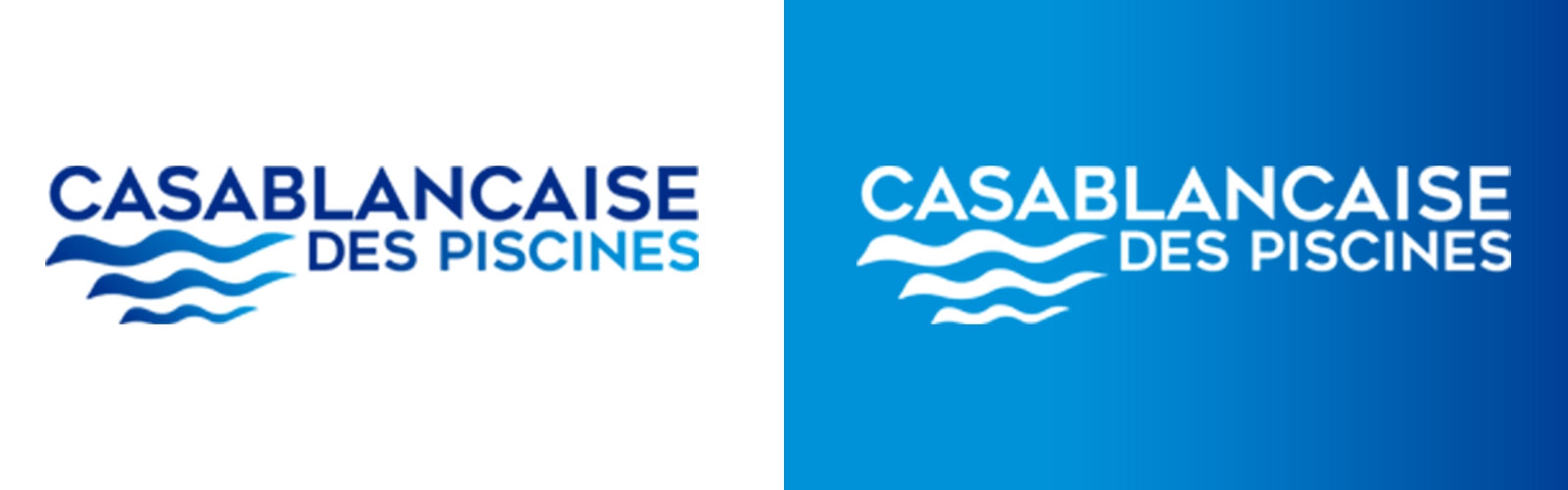 Création de Logo pour Casablancaise des Piscines image 0
