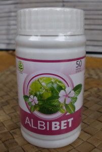Albibet-almishbah2